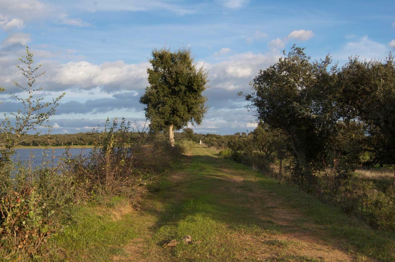 Herdade Da Burquilheira Family Retreat Alcáçovas Exterior foto